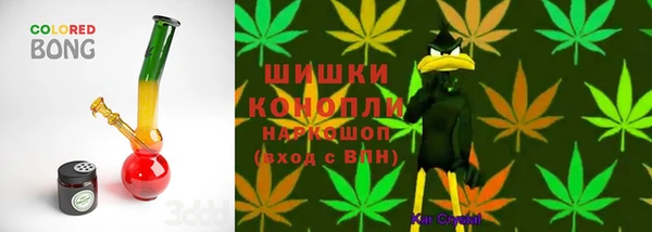 спиды Новозыбков