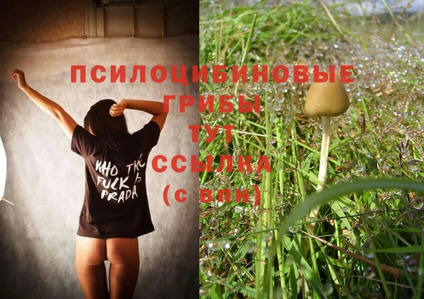 спайс Новокубанск