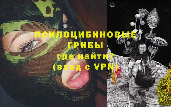 синтетический гашиш Новодвинск