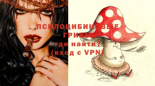 спиды Новозыбков