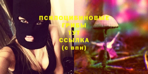 спиды Новозыбков